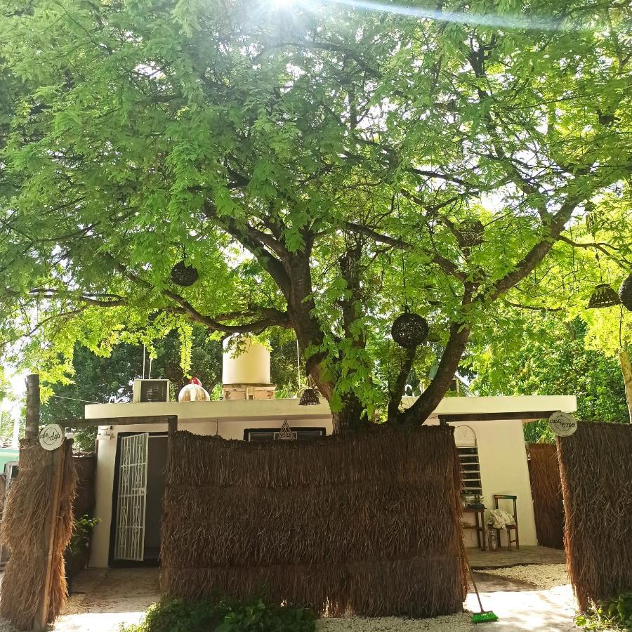 Casa Arte Bacalar Exterior foto